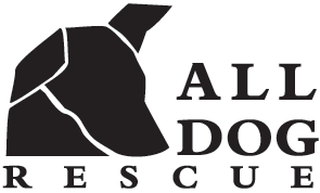 All Dog Rescue
